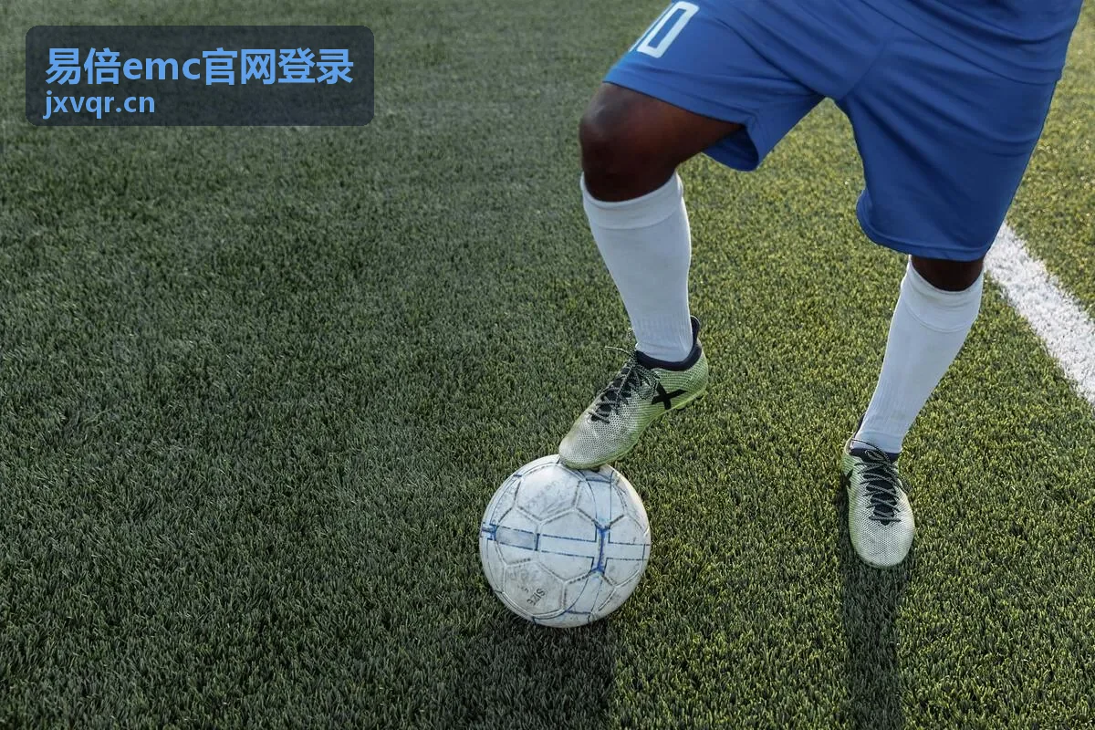 易倍emc官网登录入口访问方式说明