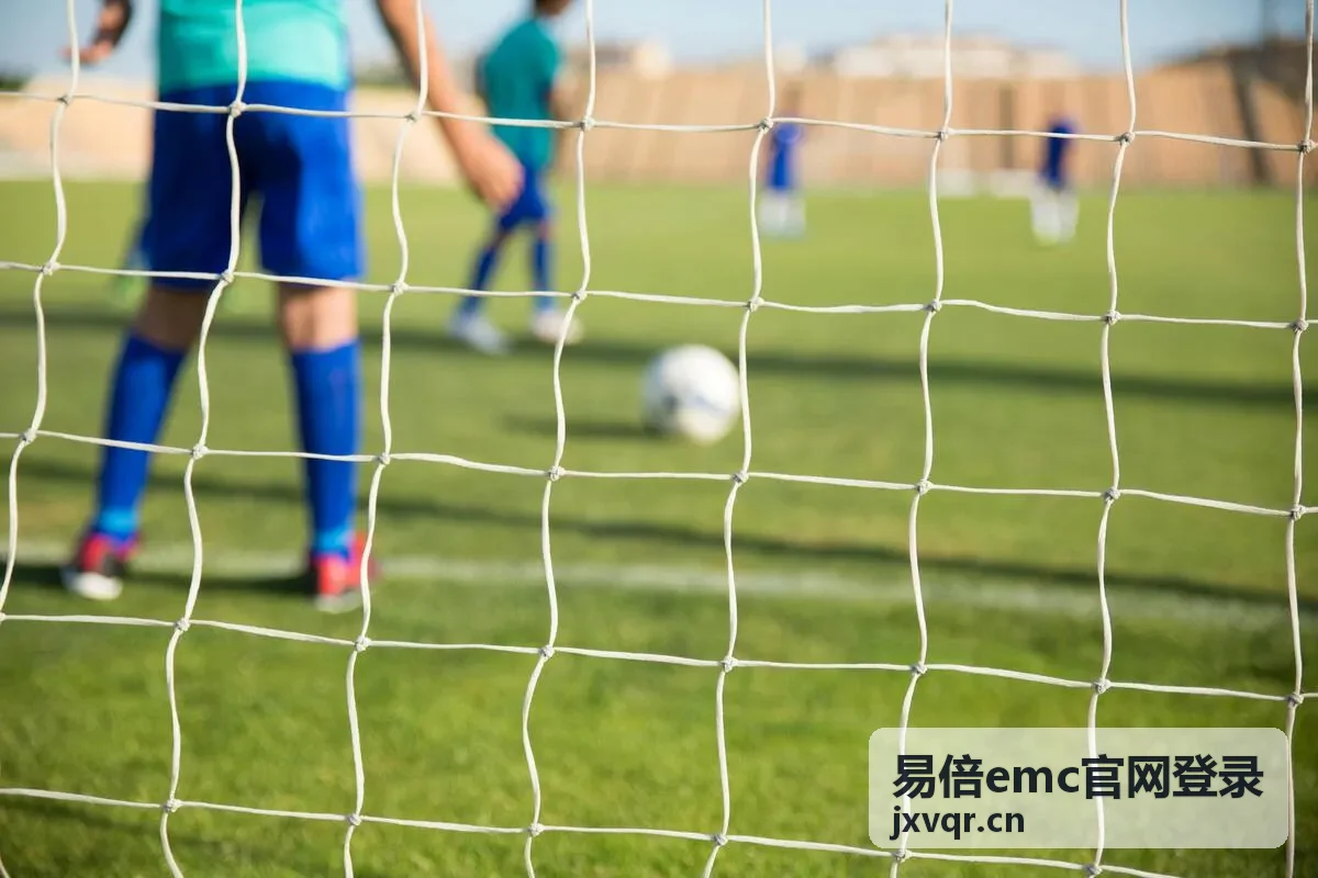 易倍emc官网登录账号安全自查